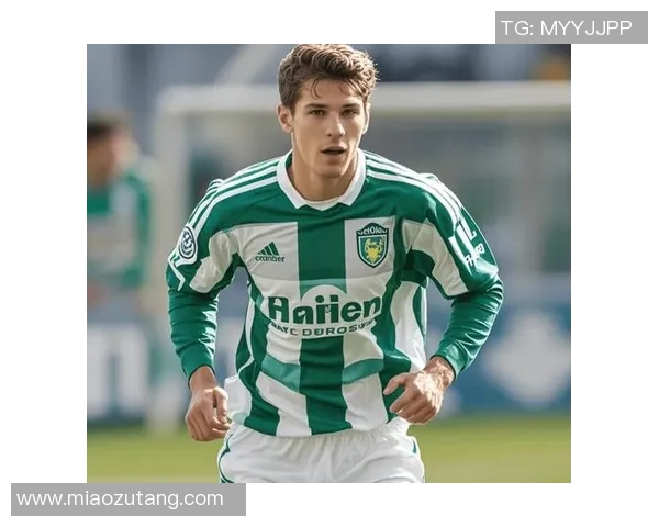 哈马比与索球队对决分析及赛前预测展望 哈马比与索球队对决分析及赛前预测展望