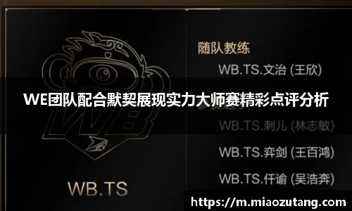 WE团队配合默契展现实力大师赛精彩点评分析