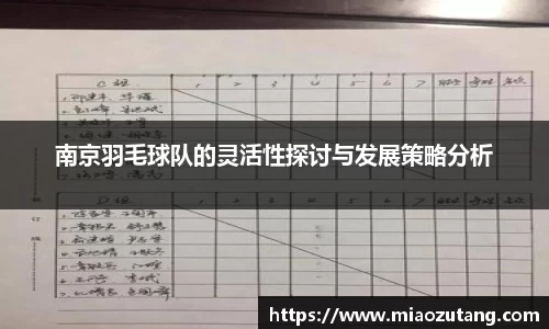 南京羽毛球队的灵活性探讨与发展策略分析