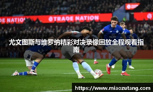 77体育官网